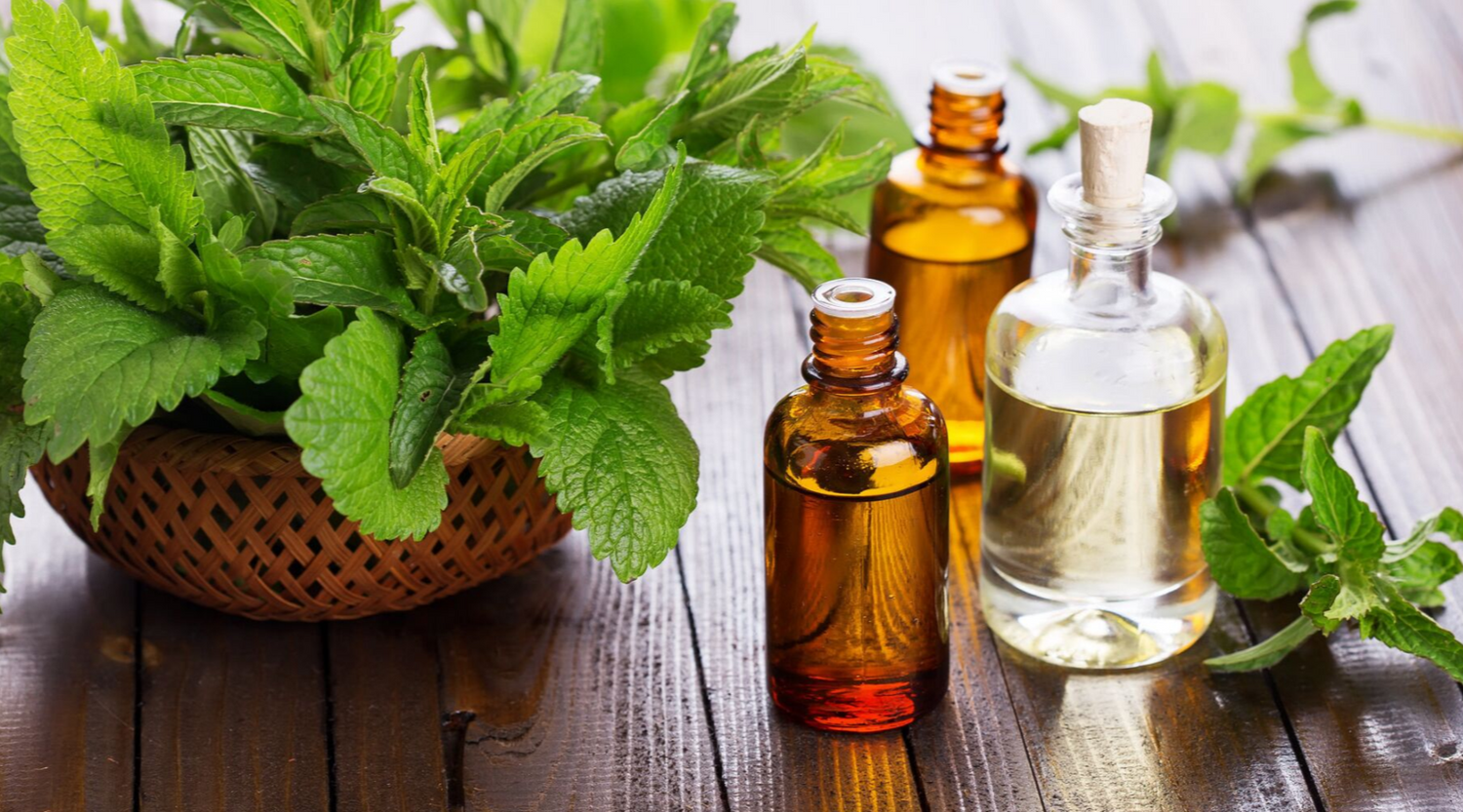 Unlock the Secrets of Healthy Locs: The Best Oil for Locs and More
