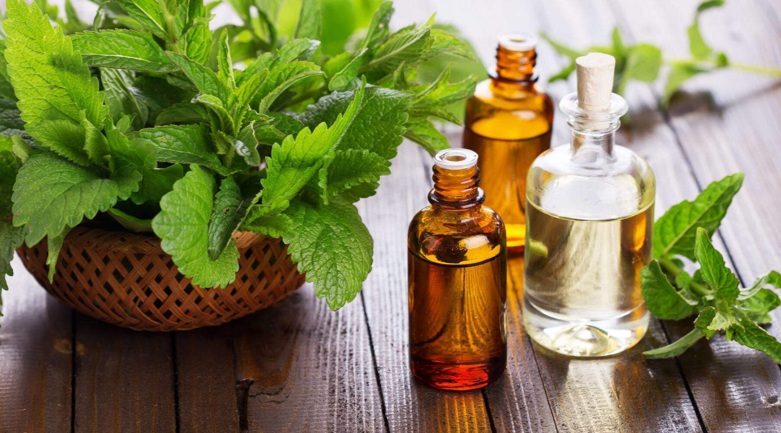 Unlock the Secrets of Healthy Locs: The Best Oil for Locs and More