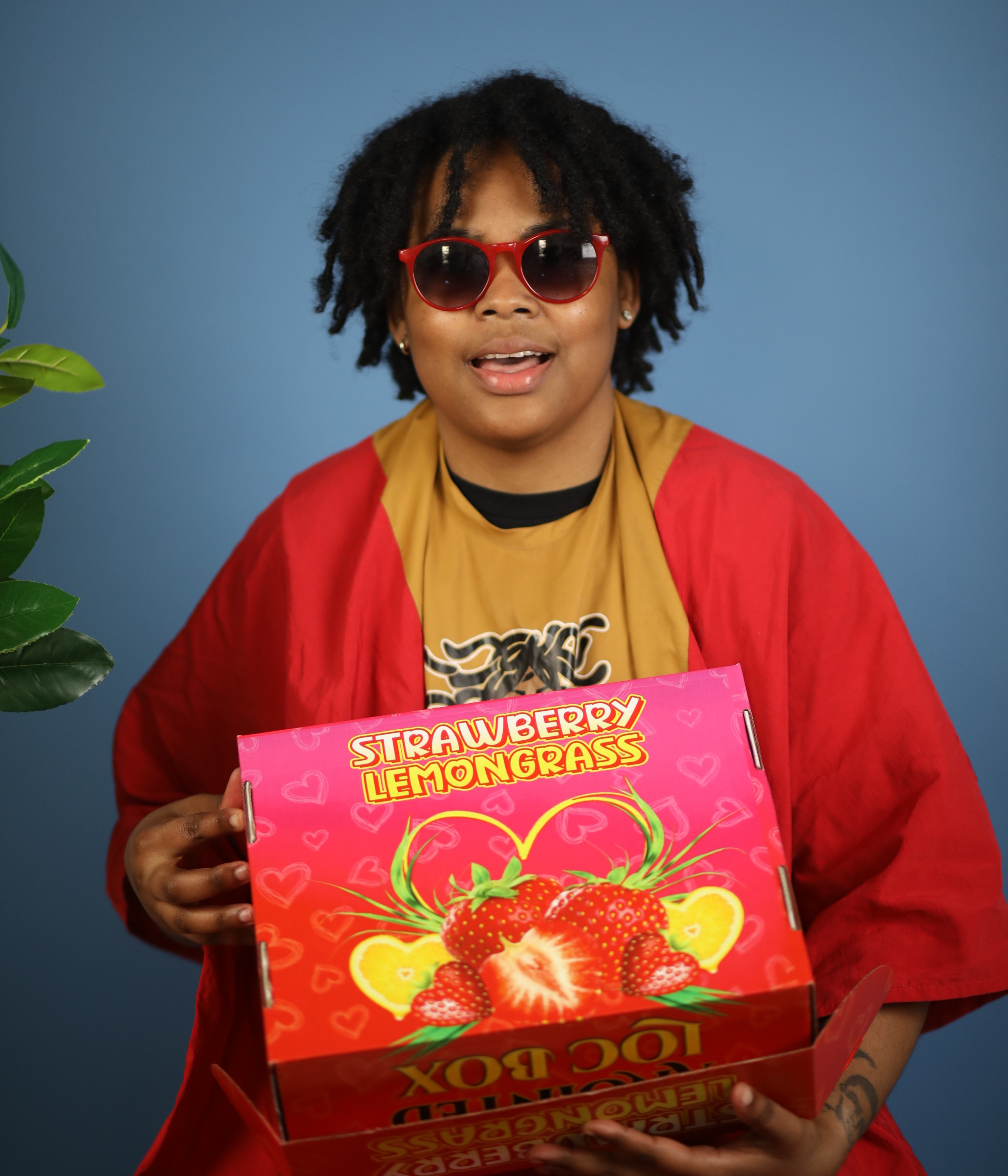 The Anointed Box – Strawberry Lemongrass